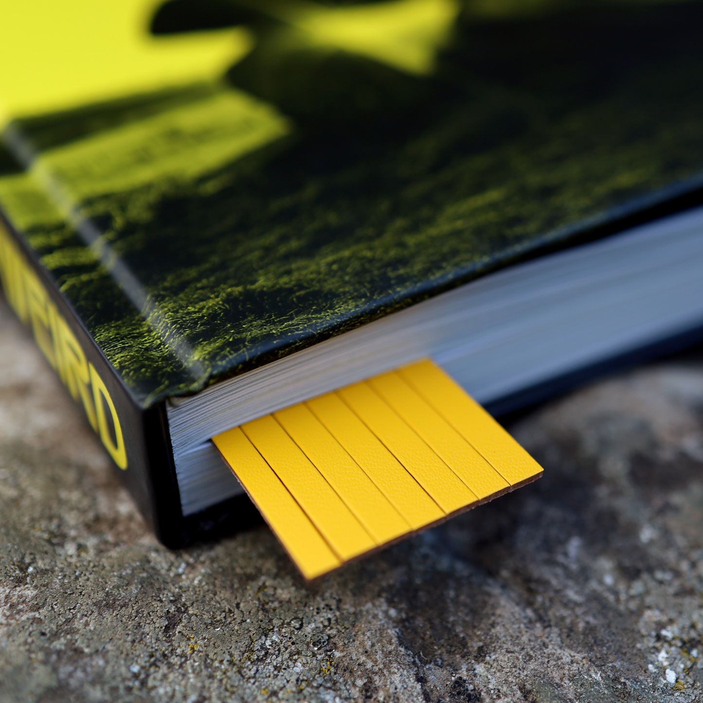 Weird Walk Bookmark